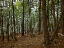 NORTH LOT 18863 KAWAGAMA LAKE NORTH SHORE DRIVE | Lake of Bays Ontario | Slide Image Twenty-seven