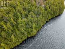 NORTH LOT 18863 KAWAGAMA LAKE NORTH SHORE DRIVE | Lake of Bays Ontario | Slide Image Thirty