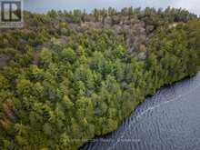 NORTH LOT 18863 KAWAGAMA LAKE NORTH SHORE DRIVE | Lake of Bays Ontario | Slide Image Three