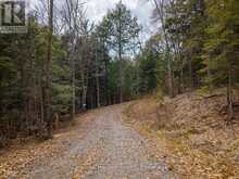 NORTH LOT 18863 KAWAGAMA LAKE NORTH SHORE DRIVE | Lake of Bays Ontario | Slide Image Five