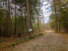 NORTH LOT 18863 KAWAGAMA LAKE NORTH SHORE DRIVE | Lake of Bays Ontario | Slide Image Seven