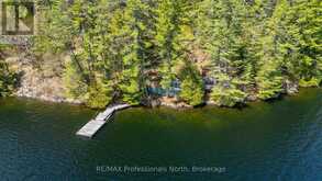 10145 LITTLE HAWK WEST SHO | Haliburton Ontario | Slide Image Two