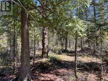 1035 DORCAS BAY ROAD | Tobermory Ontario | Slide Image Sixteen