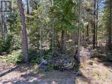 1035 DORCAS BAY ROAD | Tobermory Ontario | Slide Image Seven