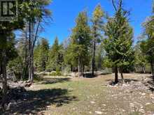 1035 DORCAS BAY ROAD | Tobermory Ontario | Slide Image Nine