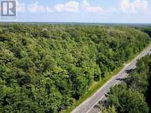 PT LT 6 BRUCE ROAD 9 ROAD | Lion's Head Ontario | Slide Image Ten