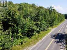 PT LT 6 BRUCE ROAD 9 ROAD | Lion's Head Ontario | Slide Image Twelve
