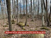 PT LT 6 BRUCE ROAD 9 ROAD | Lion's Head Ontario | Slide Image Thirteen