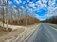 PT LT 6 BRUCE ROAD 9 ROAD | Lion's Head Ontario | Slide Image Nineteen