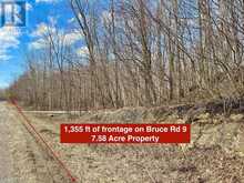 PT LT 6 BRUCE ROAD 9 ROAD | Lion's Head Ontario | Slide Image Two