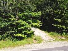 PT LT 6 BRUCE ROAD 9 ROAD | Lion's Head Ontario | Slide Image Three