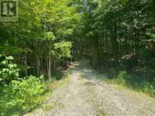 PT LT 6 BRUCE ROAD 9 ROAD | Lion's Head Ontario | Slide Image Five