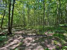 PT LT 6 BRUCE ROAD 9 ROAD | Lion's Head Ontario | Slide Image Seven