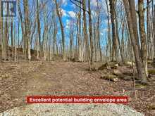 PT LT 6 BRUCE ROAD 9 ROAD | Lion's Head Ontario | Slide Image Eight