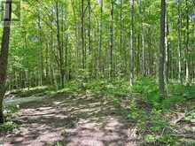 PT LT 6 BRUCE ROAD 9 ROAD | Lion's Head Ontario | Slide Image Nine