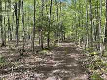 LOT 24 CONCESSION 14 KEPPEL CONCESSION | Shallow Lake Ontario | Slide Image Nine