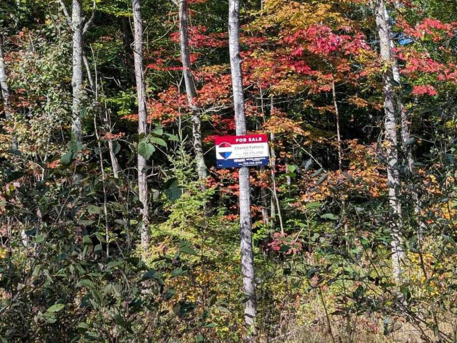 0 SUGAR LAKE ROAD, McDougall, Ontario P2A 2W9