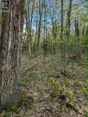 0 SUGAR LAKE ROAD | McDougall Ontario | Slide Image Thirteen