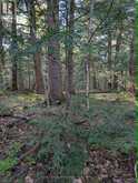 0 SUGAR LAKE ROAD | McDougall Ontario | Slide Image Fifteen