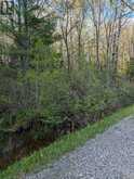 0 SUGAR LAKE ROAD | McDougall Ontario | Slide Image Nineteen