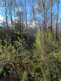 0 SUGAR LAKE ROAD | McDougall Ontario | Slide Image Twenty