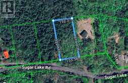 0 SUGAR LAKE ROAD | McDougall Ontario | Slide Image Twenty-three