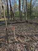 0 SUGAR LAKE ROAD | McDougall Ontario | Slide Image Two