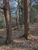 0 SUGAR LAKE ROAD | McDougall Ontario | Slide Image Five