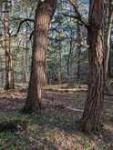 0 SUGAR LAKE ROAD | McDougall Ontario | Slide Image Six