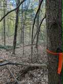 0 SUGAR LAKE ROAD | McDougall Ontario | Slide Image Eight
