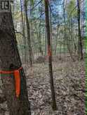0 SUGAR LAKE ROAD | McDougall Ontario | Slide Image Nine