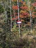 0 SUGAR LAKE ROAD | McDougall Ontario | Slide Image One