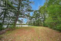 89 MCKELLAR FERGUSON BOUNDARY ROAD | McKellar Ontario | Slide Image Three