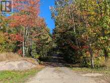 1408 PEARCELEY ROAD | Parry Sound Ontario | Slide Image Twenty-six