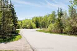 105 WOODLAND PARK ROAD | The Blue Mountains Ontario | Slide Image Fifty