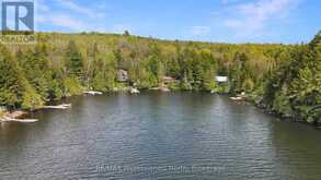 1514 LITTLE STRAGGLE LAKE DRIVE | Dysart et al Ontario | Slide Image Thirty