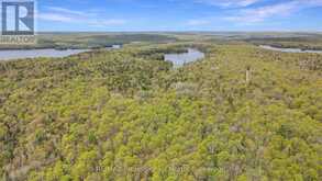 1514 LITTLE STRAGGLE LAKE DRIVE | Dysart et al Ontario | Slide Image Thirty-six