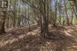 PT LT 2 LAKEWOOD LANE | Markdale Ontario | Slide Image Six