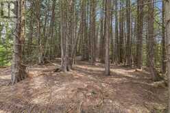 PT LT 2 LAKEWOOD LANE | Markdale Ontario | Slide Image Eight