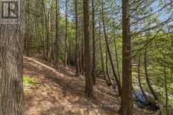 PT LT 2 LAKEWOOD LANE | Markdale Ontario | Slide Image Nine