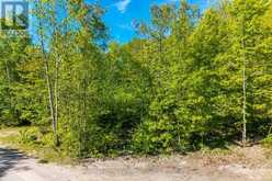 1536 CHAMPLAIN ROAD | Tiny Ontario | Slide Image One