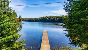 1566 WEST SETTLEMENT ROAD | Haliburton Ontario | Slide Image Thirty-seven