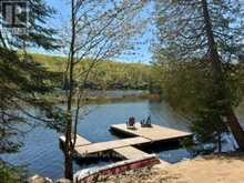 1027 SELECT TRAIL | Haliburton Ontario | Slide Image Thirty-seven