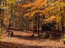 1027 SELECT TRAIL | Haliburton Ontario | Slide Image Forty-five