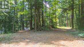 81 AMORAK TRAIL | Whitestone Ontario | Slide Image Eight