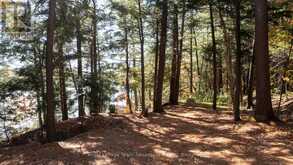 81 AMORAK TRAIL | Whitestone Ontario | Slide Image Thirty-five