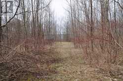 PTLT 19 CON BROKEN FRONT BAYSHORE ROAD | Meaford Ontario | Slide Image Two