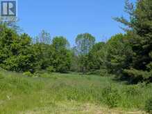 PTLT 19 CON BROKEN FRONT BAYSHORE ROAD | Meaford Ontario | Slide Image Five