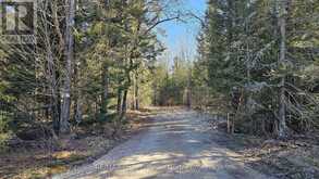 156 BUTTERFIELD ROAD | Powassan Ontario | Slide Image Thirty