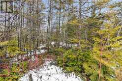 LOT 43 WARNER BAY ROAD | Tobermory Ontario | Slide Image Fifteen